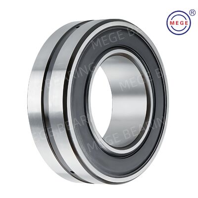 High Loaded Sealed Spherical Roller Bearing 120x215x69mm BS2-2224-2CS/CSK Vt143