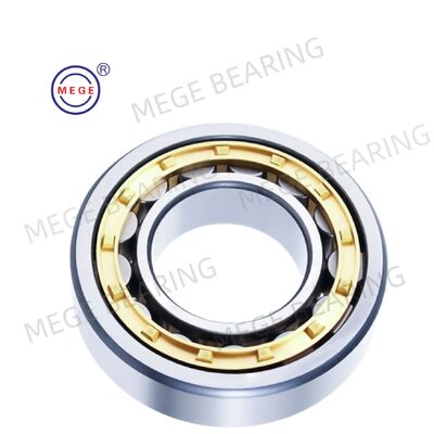 NU1006 Single Row Cylindrical Roller Bearings 30x55x13mm EM / ET / EW C3