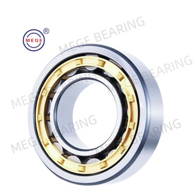 NU1006 Single Row Cylindrical Roller Bearings 30x55x13mm EM / ET / EW C3