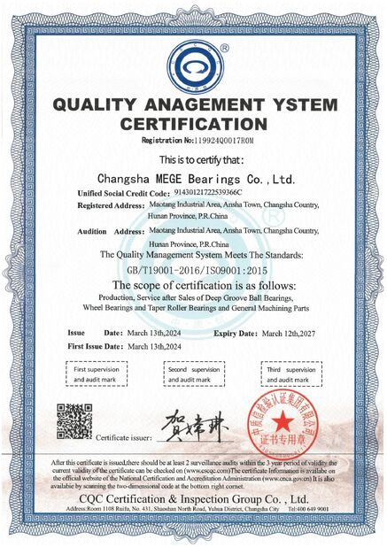 China CHANGSHA MEGE BEARINGS CO., LTD certification